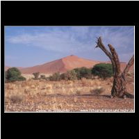 3-022 Duene im Sossusvlei.jpg